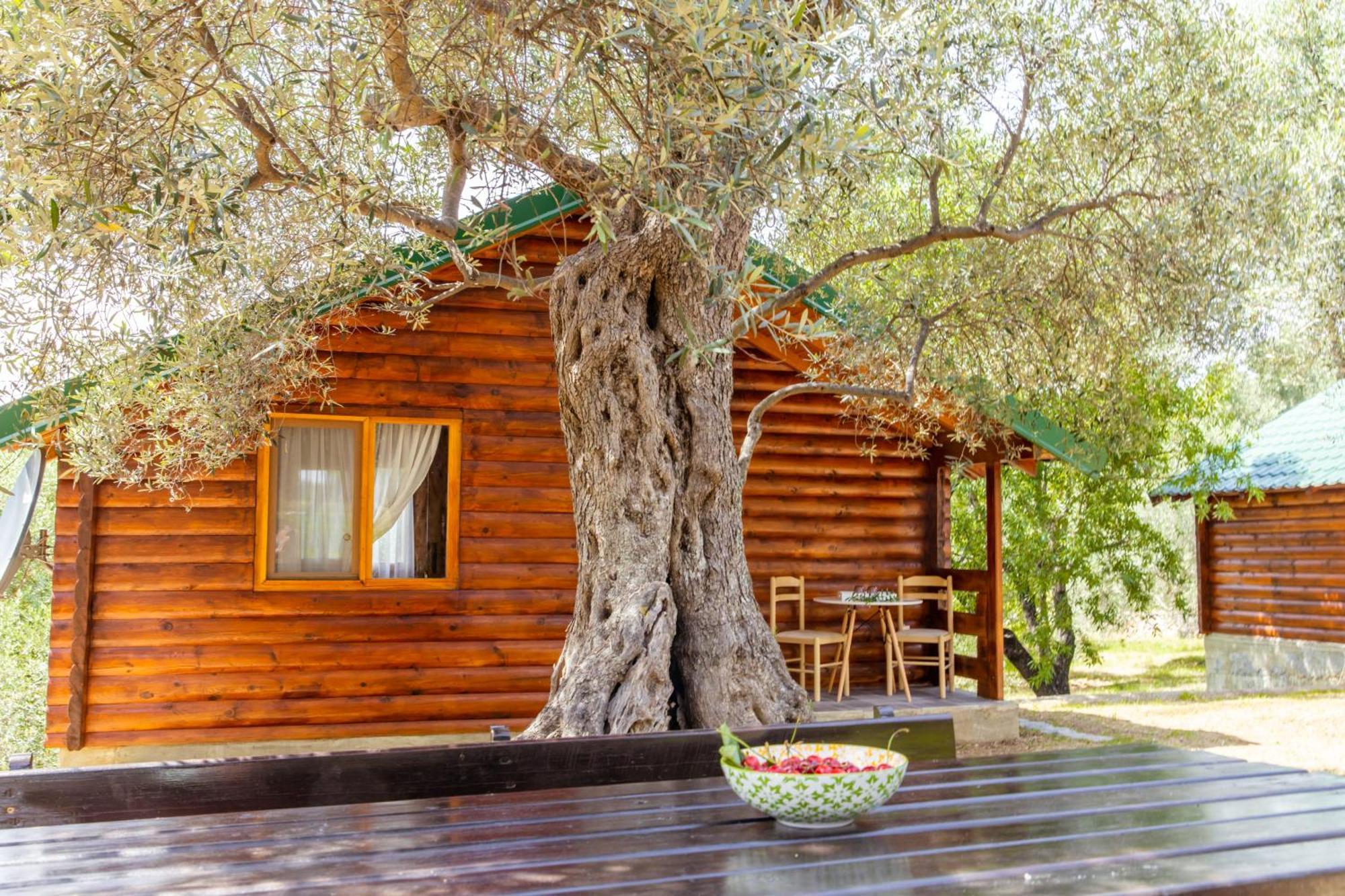 Katana Village Apartment Улцин Екстериор снимка